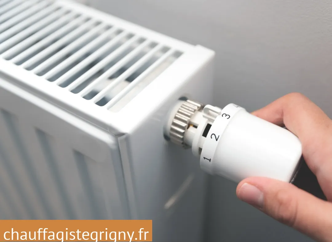 Remplacement de Thermostat Grigny